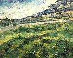 Green Wheat Field